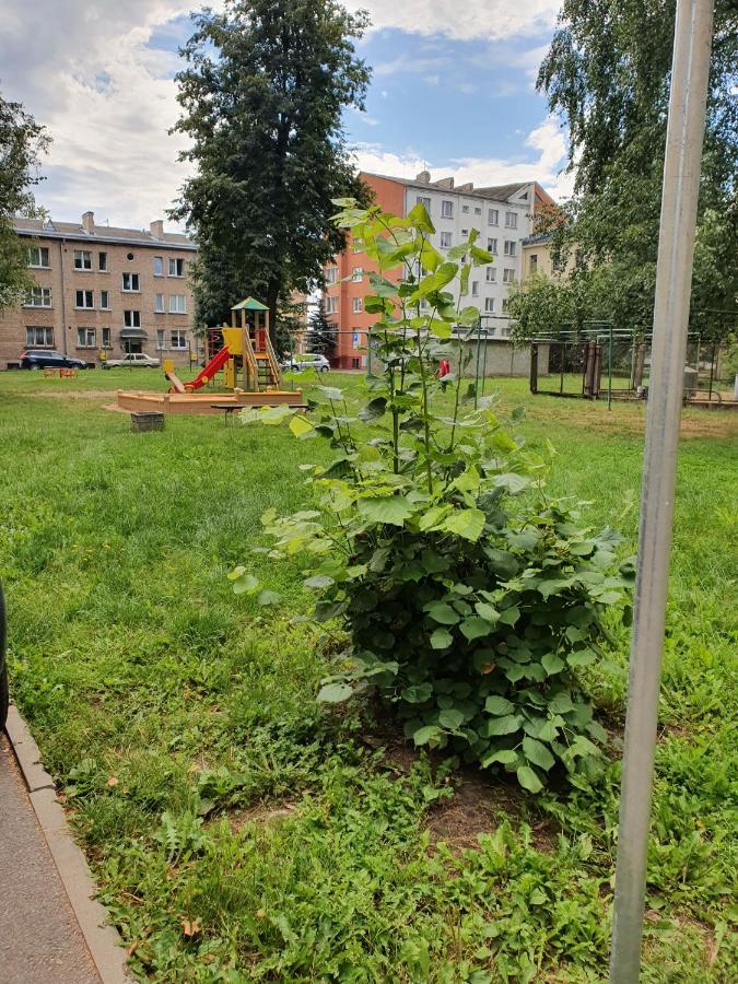 Apartament Erfolg 6 Lägenhet Daugavpils Exteriör bild